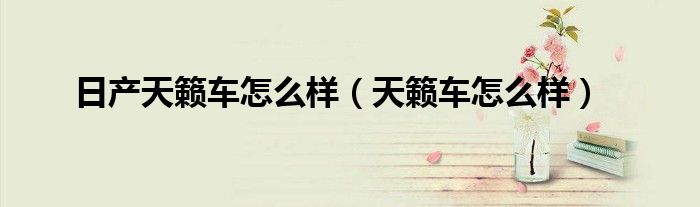 日产天籁车怎么样（天籁车怎么样）