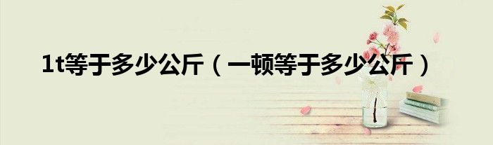 1t等于多少公斤（一顿等于多少公斤）