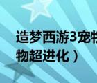 造梦西游3宠物超进化的好处（造梦西游3宠物超进化）