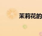 茉莉花的产地（茉莉花的功效）