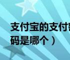 支付宝的支付密码是几位数?（支付宝支付密码是哪个）