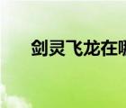 剑灵飞龙在哪买（剑灵飞龙工商在哪）