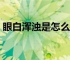 眼白浑浊是怎么回事（眼白发黄是怎么回事）