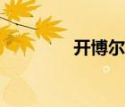 开博尔K130i（开博尔k1）