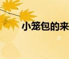 小笼包的来历视频（小笼包的来历）