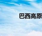 巴西高原在哪个洲（巴西高原）