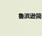 鲁滨逊简介50字（鲁滨逊简介）