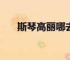 斯琴高丽哪去了（斯琴高丽怎么死的）