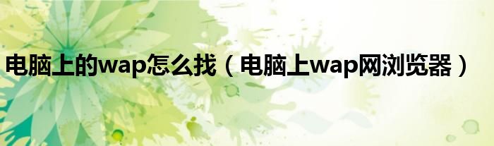 电脑上的wap怎么找（电脑上wap网浏览器）