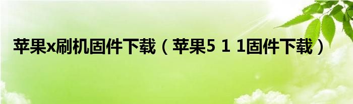 苹果x刷机固件下载（苹果5 1 1固件下载）