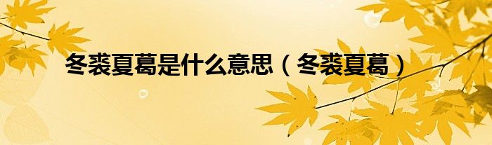 冬裘夏葛是什么意思（冬裘夏葛）