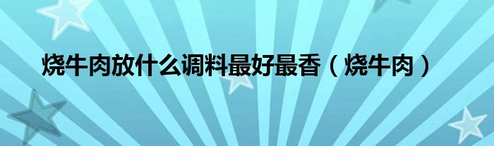 烧牛肉放什么调料最好最香（烧牛肉）