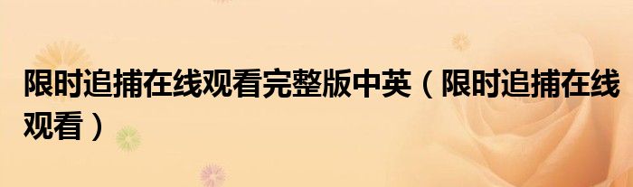 限时追捕在线观看完整版中英（限时追捕在线观看）