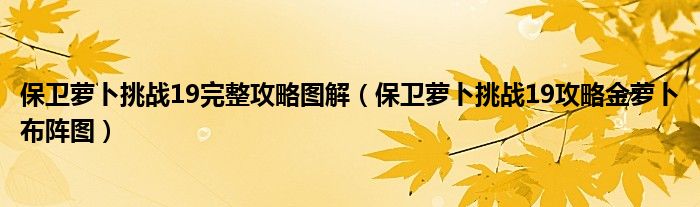 保卫萝卜挑战19完整攻略图解（保卫萝卜挑战19攻略金萝卜布阵图）