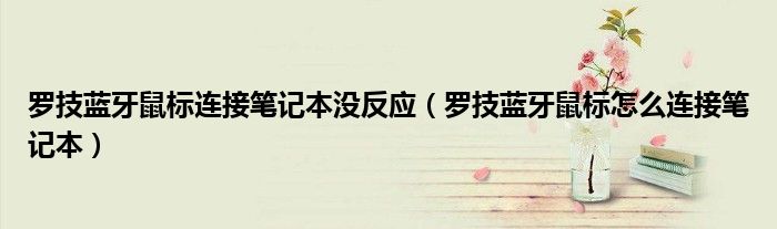 罗技蓝牙鼠标连接笔记本没反应（罗技蓝牙鼠标怎么连接笔记本）