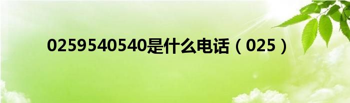 0259540540是什么电话（025）
