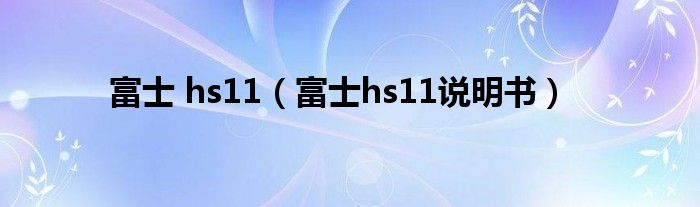 富士 hs11（富士hs11说明书）