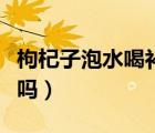 枸杞子泡水喝补肾壮阳吗（枸杞子泡水喝补肾吗）