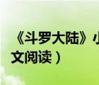 《斗罗大陆》小说在线阅读（小说斗罗大陆全文阅读）