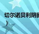 切尔诺贝利阴影里的大块肉（切尔诺贝利阴影）
