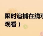 限时追捕在线观看完整版中英（限时追捕在线观看）
