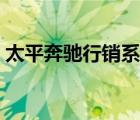 太平奔驰行销系统登录（平安行销支持系统）