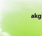 akgk52（akgk271）