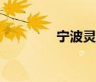 宁波灵桥市场（宁波灵桥）
