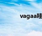 vagaa哇嘎最新版本（kazaa）