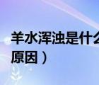 羊水浑浊是什么原因造成的（羊水浑浊是什么原因）