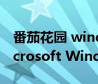 番茄花园 windows xp pro sp3 v1.21（Microsoft Windows XP SP3）