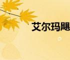 艾尔玛飓风现场（艾尔玛飓风）