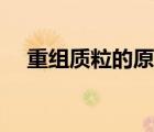 重组质粒的原理（重组质粒的构建步骤）