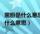 黑粉是什么意思表达了什么样的感情（黑粉是什么意思）