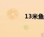 13米鱼竿推荐（13米鱼竿）