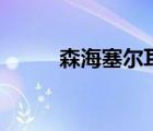森海塞尔耳机（森海塞尔pc131）