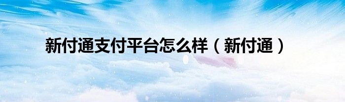 新付通支付平台怎么样（新付通）