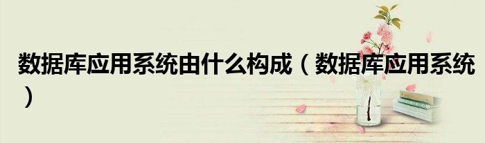 数据库应用系统由什么构成（数据库应用系统）