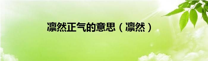 凛然正气的意思（凛然）