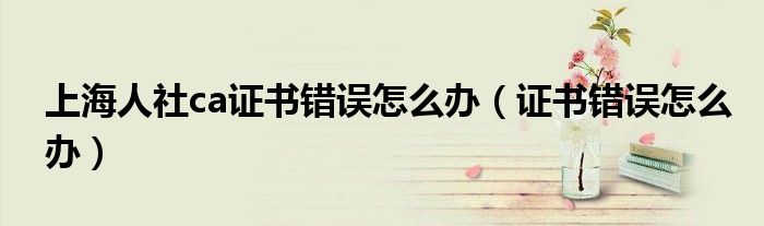 上海人社ca证书错误怎么办（证书错误怎么办）