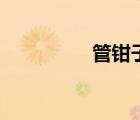 管钳子怎么用（管钳子）