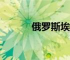 俄罗斯埃及关系（俄罗斯埃及）