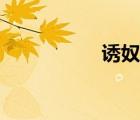 诱奴娇下载（诱奴娇）