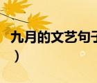 九月的文艺句子描写孩子的（九月的文艺句子）