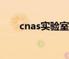 cnas实验室基础知识（cnas实验室）