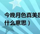 今晚月色真美是什么意思啊（今晚月色真美是什么意思）