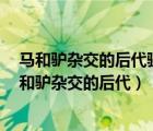 马和驴杂交的后代骡子是不育的2倍体而雄蜂是可育的（马和驴杂交的后代）