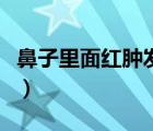 鼻子里面红肿发炎图（鼻子红肿如何快速消除）