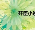 歼臣小说笔趣阁（奸臣小说）