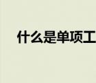 什么是单项工程举例（什么是单项工程）